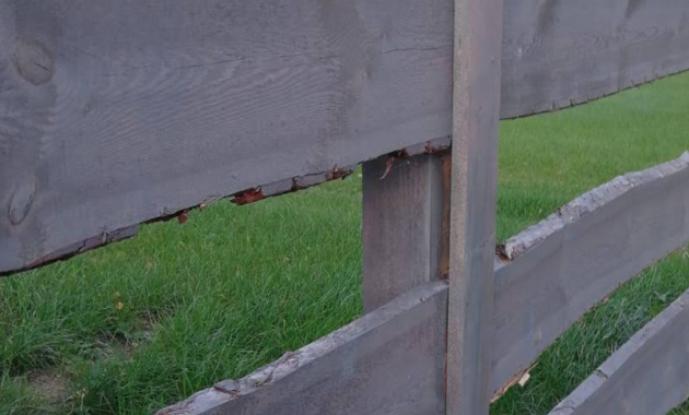 Fence – Exterior application, wooden surface painted with natural oil wooden stain.